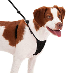 No Pull Dog Harness, Black